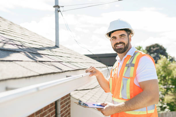 Best Flat Roof Repair Services  in Lanse, MI