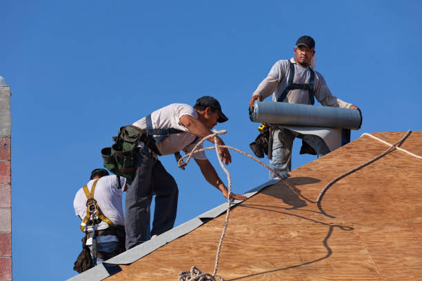 Best Metal Roofing Contractor  in Lanse, MI