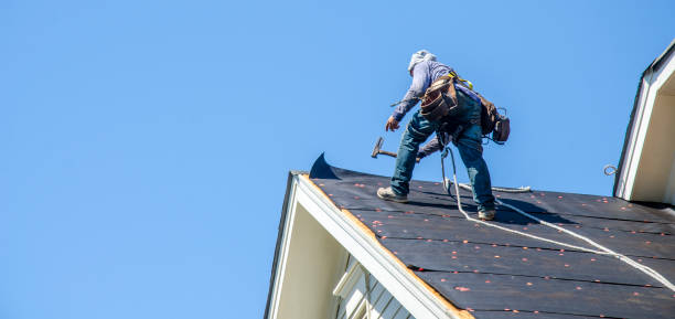 Best Roof Restoration Services  in Lanse, MI